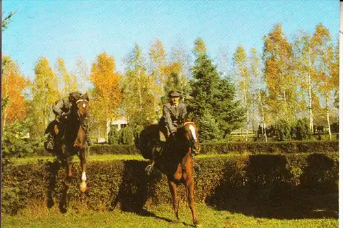 SPORT - PFERDE - Hindernisrennen Vitkovice