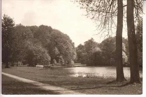 4430 BURGSTEINFURT, Partie am Bagnosee