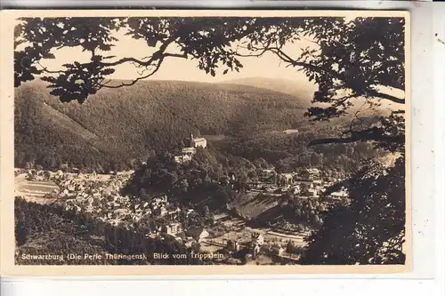 0-6825 SCHWARZBURG, Panorama, 1942