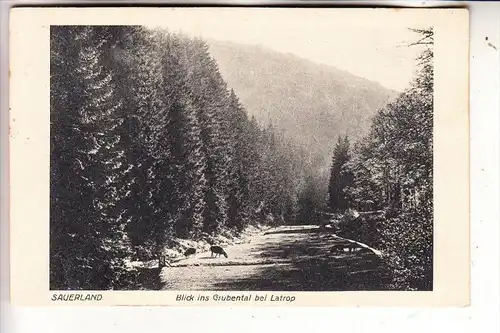 5948 SCHMALLENBERG - LATROP, Blick ins Grubental