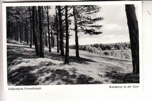 3341 GROSS DENKTE, Falkenheim Freundschaft, Waldwiese an der Asse, 1956