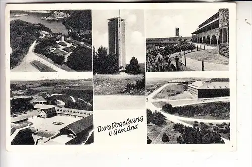 5372 SCHLEIDEN, Burg Vogelsang, Mehrbild, 1956