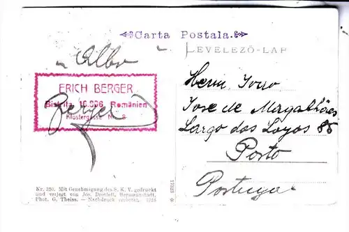 ROMANIA / RUMÄNIEN - Siebenbürgische Karpaten, Negoi / Sugul, 1918