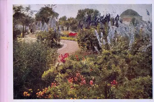 3000 HANNOVER, Bundesgartenschau 1951, Staudengarten