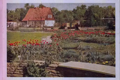 3000 HANNOVER, Bundesgartenschau 1951, Blick nach dem Deutschen Hausgarten