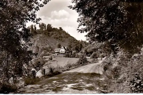 5330 KÖNIGSWINTER - MARGARETENHÖHE, Hotel Löwenburger Hof, 1963