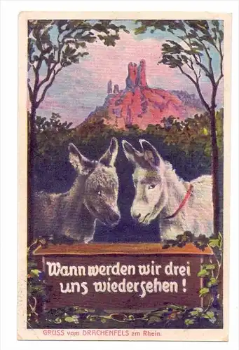 5330 KÖNIGSWINTER, Drachenfels, Esel, Humor, 1927