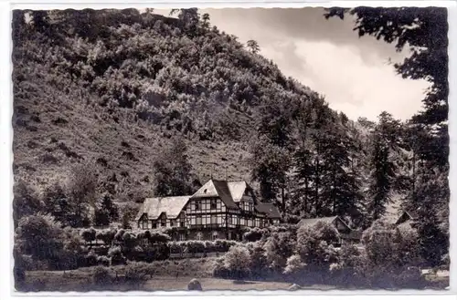 5330 KÖNIGSWINTER - MARGARETHENHÖHE, Hotel Löwenburger Hof, 1959