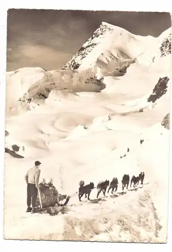 HUNDE - POLARHUNDE / SCHLITTENHUNDE, Jungfraujoch / Schweiz, 1965