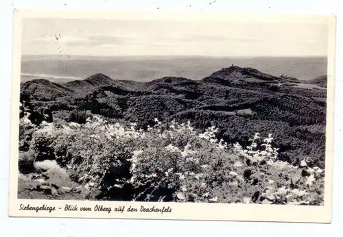 5330 KÖNIGSWINTER - ITTENBACH, Blick vom Ölberg auf den Drachenfels, 1959
