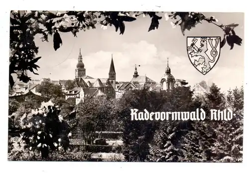 5608 RADEVORMWALD, Panorama, Stadtwappen