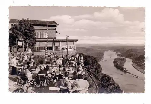 5330 KÖNIGSWINTER, Hotel Drachenfels, Weinterrasse, 1960