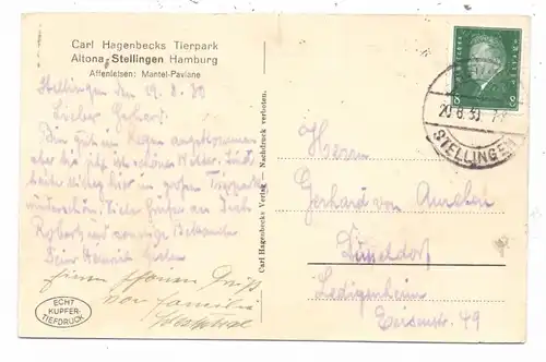 2000 HAMBURG - STELLINGEN, Carl Hagenbecks Tierpark / Zoo, Affenfelsen, Mantel Paviane, 1930