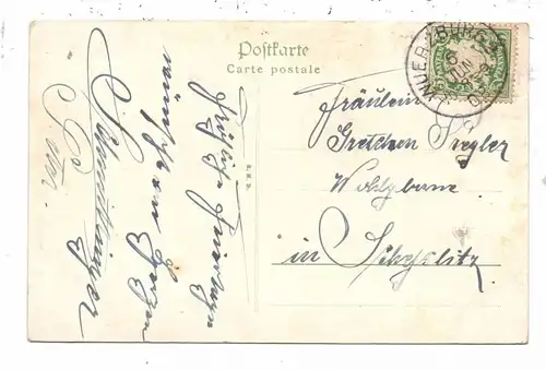8700 WÜRZBURG, Panorama, 1908, color