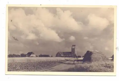 2270 NIEBLUM/ FÖHR, Dorfansicht 195..., Photo-AK