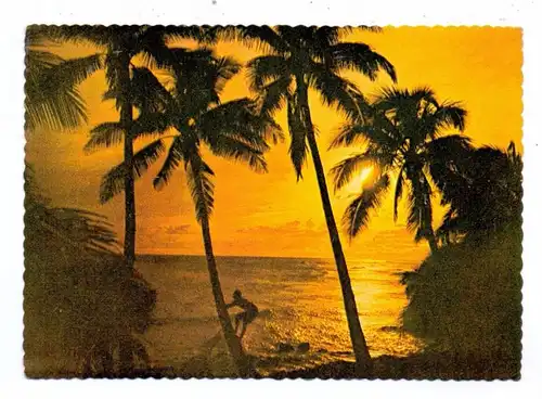 FIJI - Typical sunset