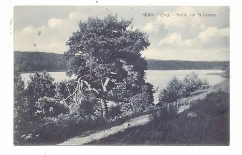 2410 MÖLLN, Partie am Drüsensee, 1916
