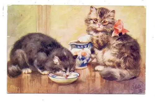 KATZEN / Cats / Chats / Katten / Gatti / Gatos - Artist M. Gear, TUCK, 1929