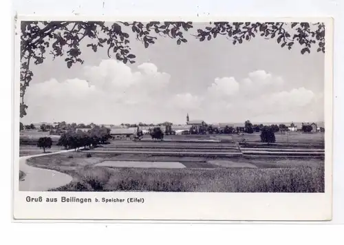5522 SPEICHER - BEILINGEN, Gruss aus..