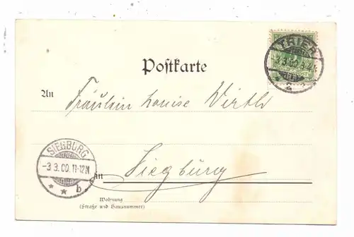 5500 TRIER, Bergpartie Schneidershof, Bonner Strasse, Moselfischer, 1900