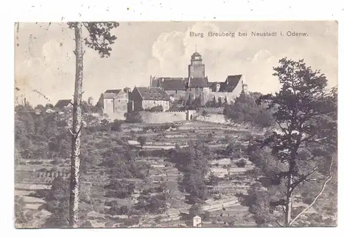 6127 BREUBERG, Burg Breuberg, 1916, Bahnpost