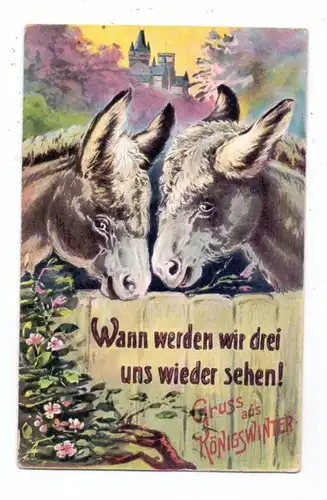 5330 KÖNIGSWINTER, Drachenfels, Esel-Humor-Karte, 1913