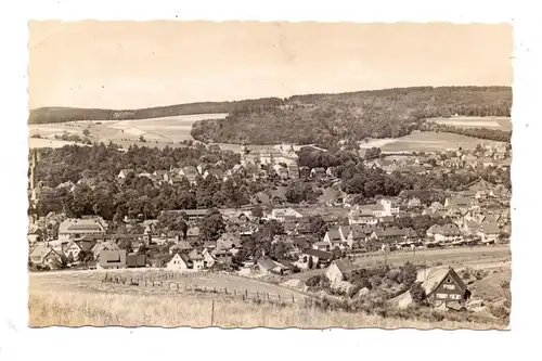 5920 BAD BERLEBURG, Blick vom Höllscheidt, 1959