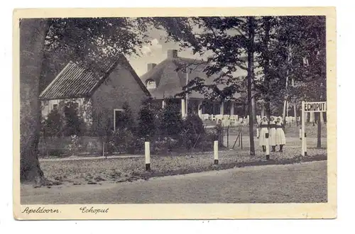 NL - GELDERLAND - APELDOORN, Echoput