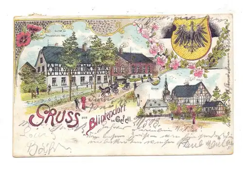 0-6552 GEFELL - BLINTENDORF, Lithographie 1903, Gasthof zum Preussischen Adler, Kirche, Schule