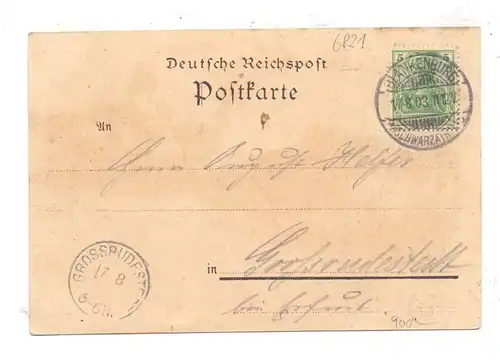 0-6823 BAD BLANKENBURG - BÖHLSCHEIBEN, Lithographie 1903, Gastwirtschaft Breternitz, Kirche