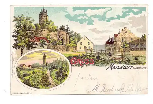 0-6104 WASUNGEN, Lithographie 1900, Gruss von der Maienluft