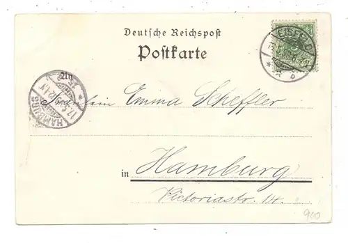 0-6120 EISFELD, Lithographie 1899, Kirche, Krieger-Denkmal, Gesamtansicht
