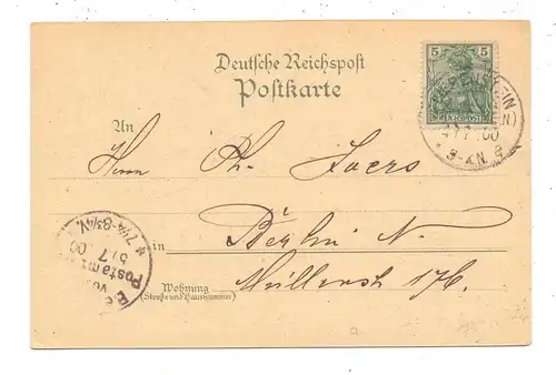 0-6202 BAD LIEBENSTEIN, Lithographie 1900, , Villa Feodora, Schloss Altenstein, Kurhaus, Gesamtansicht
