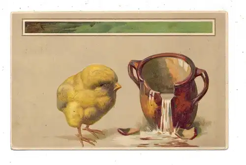 OSTERN - Küken mit zerbrochenem Wasserkrug, Präge-Karte, embossed, relief, 1912