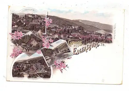 0-6303 ELGERSBURG, Lithographie, Mühle, Mönchhof, Gesamtansicht....