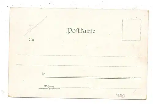 0-6303 ELGERSBURG, Lithographie, Mühle, Mönchhof, Gesamtansicht....