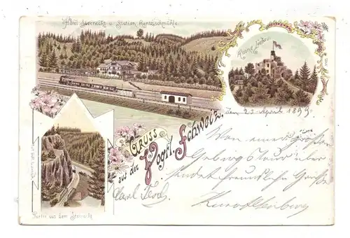 0-9903 PÖHL - RENTZSCHMÜHLE, Lithographie 1899, Bahnhof Rentzschmühle, Ruine Liebau, Partie aus dem Steinicht