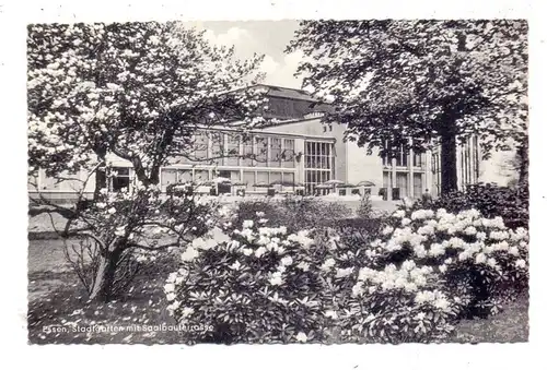 4300 ESSEN, Saalbauterrasse im Stadtgarten, 1955