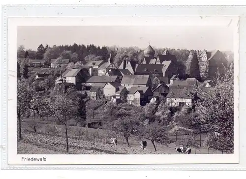 5244 DAADEN - FRIEDEWALD, Ortsansicht