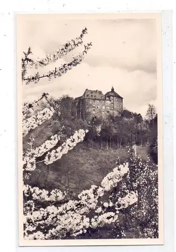 5242 KIRCHEN - FREUSBURG, Jugendburg, 1956