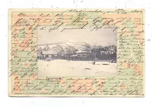 RU 690000 WLADIWOSTOK, Bäuerliche Anwesen, 1903