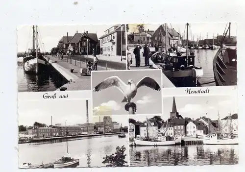 2430 NEUSTADT / Holstein, Gruss aus..Hafenansichten