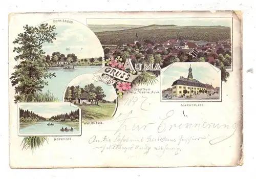 0-6572 AUMA, Lithographie, 5 Ansichten