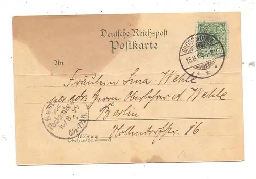 0-5234 KÖLLEDA - BURGWENDEN, Lithographie 1899, Gasthof, Oberförsterei, Kurhauspark..., Mittelknick