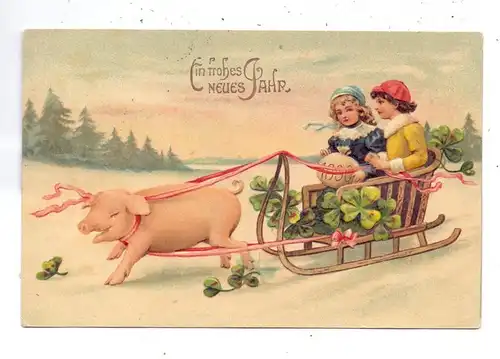 SCHWEINE / Pigs / Porcs  / Varkens / Maiali / Cerdos, Glücks-Schwein vor Schlitten, Präge-Karte / embossed / relief,1911