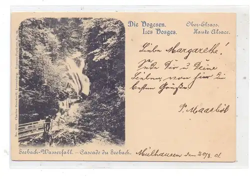 F 68290 SEWEN, Seebach Wasserfall / Cascade du Seebach, 1901, Bernhoeft - Luxemburg