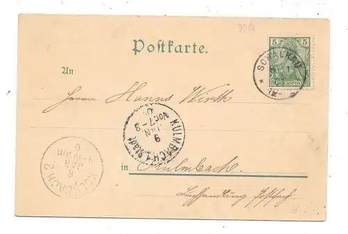 0-6405 SCHALKAU, Lithographie 1901, Schaum-Burg, Bergschlösschen, Ortsansicht