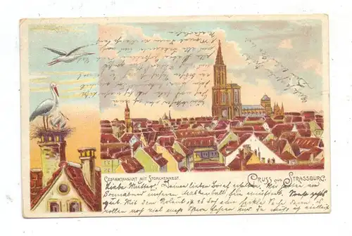 F 67000 STRASBOURG / STRASSBURG, Lithographie 1901, Gesamtansicht und Storchenest