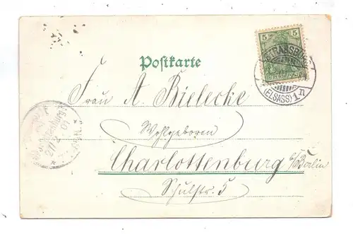 F 67000 STRASBOURG / STRASSBURG, Lithographie 1901, Gesamtansicht und Storchenest