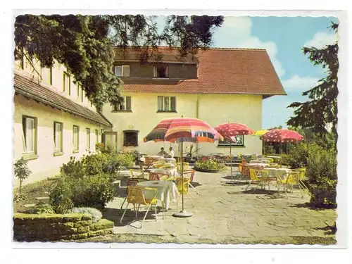 6478 NIDDA - BAD SALZHAUSEN, Kurhotel "Tannenhof"